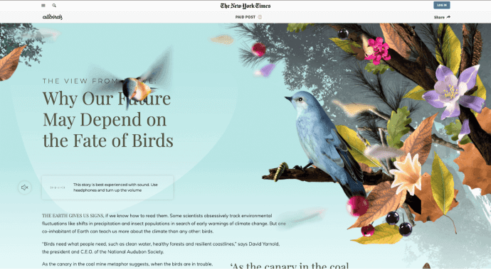 Allbirds NYT Native Content Native content from Allbirds on NYT